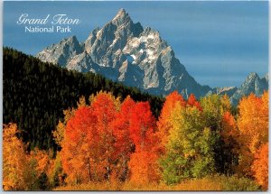 CONTINENTAL SIZE SIGHTS SCENES & SPECTACLES OF GRAND TETON NATIONAL PARK #6