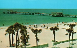 Vintage Postcard Clearwater Beaches Big Pier 60 Florida Gulf of Mexico Fishing