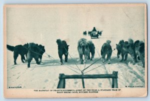 North Pole Expodition Postcard Team Of Eight Eskimo Dogs Hitched Fanwise c1910's