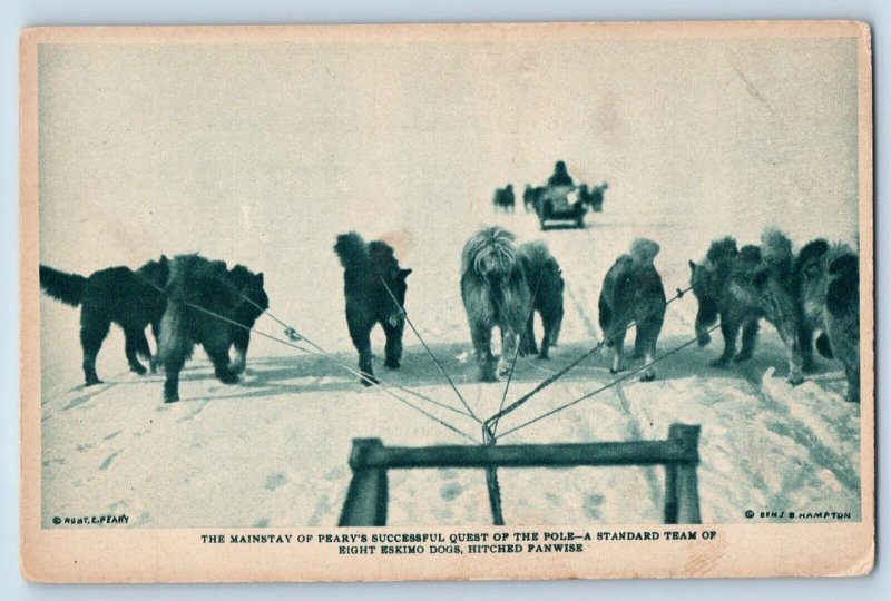 North Pole Expodition Postcard Team Of Eight Eskimo Dogs Hitched Fanwise c1910's