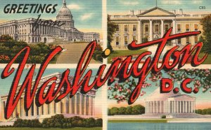 Vintage Postcard 1930's Greetings From Washington  D.C. District of Columbia