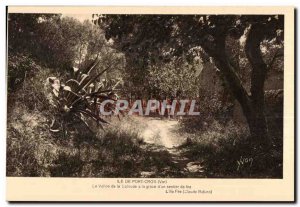 Old Postcard Ile De Port Cros (Var) The Valley of the Solitde has the grace o...