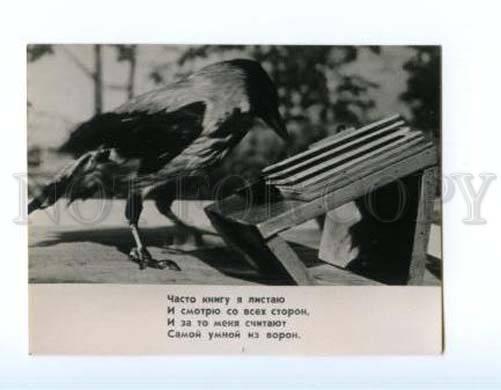 167229 DUROV CIRCUS Reading Book CROW Raven PHOTO Russian Card