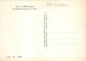 BR38890 Vic sur cere les bords sauvages de la cere france