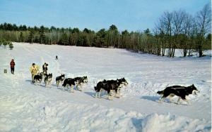 NH - Championship Sled Dog Racing