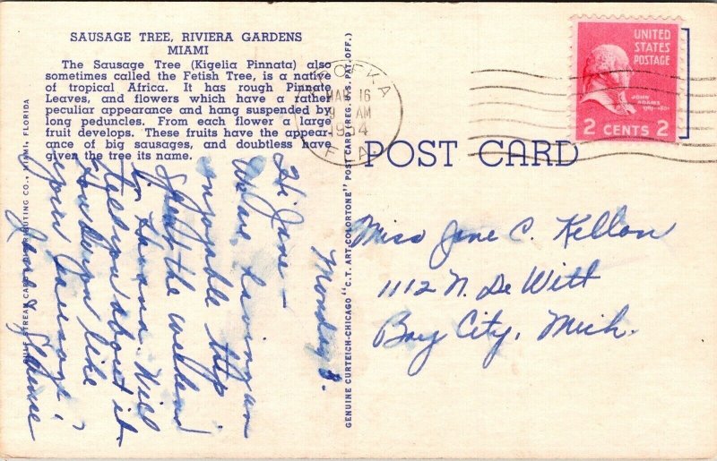 Sausage Tree Miami Florida FL Linen Postcard PM Apopka FL Cancel WOB Note 