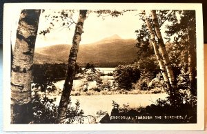 Vintage Postcard 1930 Chocorua Thru the Birches White Mountains NH *REAL PHOTO*