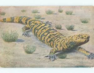 Unused Divided-Back GILA MONSTER LIZARD REPTILE State Of Arizona AZ E6221