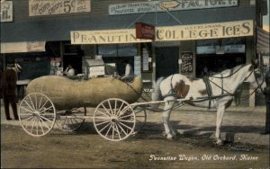 Old Orchard Beach ME Peanut Peanutine Wagon MOXIE SIGN EXC COND Postcard