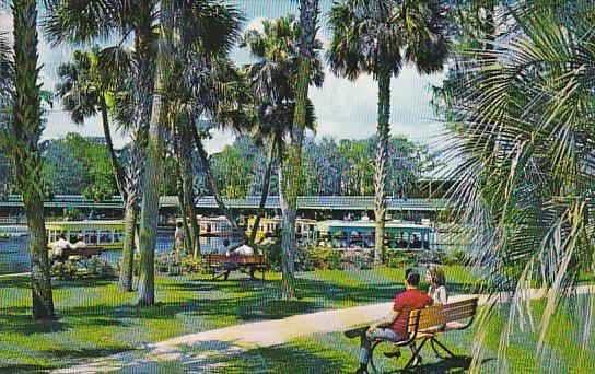 Main Spring Basin With Glass Bottom Boats Silver Springs Florida