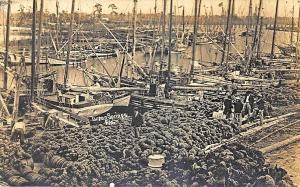 Tarpon Springs FL Loaded Sponge at Dock Ships KRUXO Real Photo Postcard