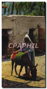 Old Postcard L & # 39Anier Donkey Mule