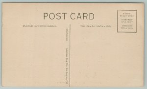 Pasadena California~Cawston Ostrich Farm~c1910 Postcard