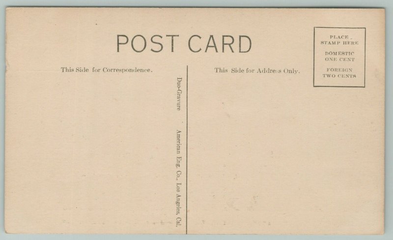 Pasadena California~Cawston Ostrich Farm~c1910 Postcard