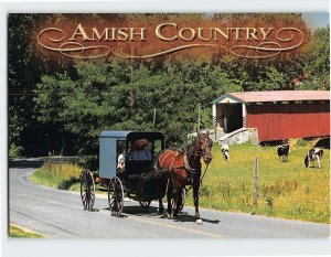 Postcard Amish Country, Pennsylvania