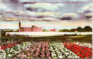 Postcard advert IL Rockford - Buckbee's Seed Warehouse Greehouse Trial Gardens