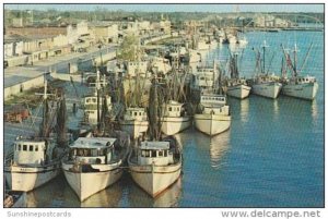 Louisiana New Orleans Shrimp Boats