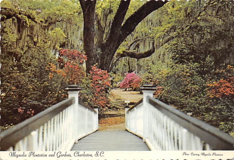Magnolia Plantation Gardens Charleston, South Carolina