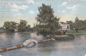 Willow Pond near Rochester, New York - pm 1911 - DB