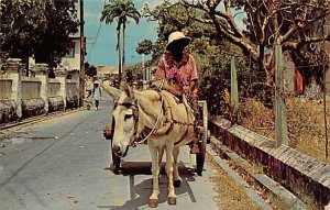 Donkey Cart Vendor Barbados West Indies 1965 