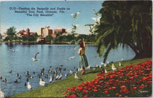 Feeding The Seagulls And Ducks Eola Park Orlando Florida Linen Postcard C118