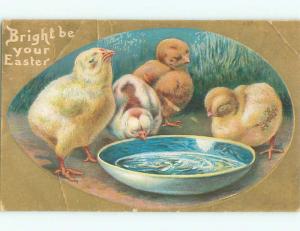 Pre-Linen easter CHICKS AROUND THE WATER DISH k3030