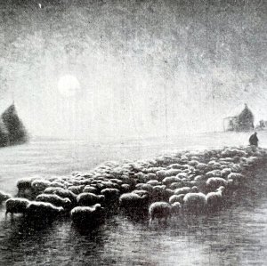 Clair De Lune Sheep Le Noel Christmas 1911 Antique Print French DWT14A