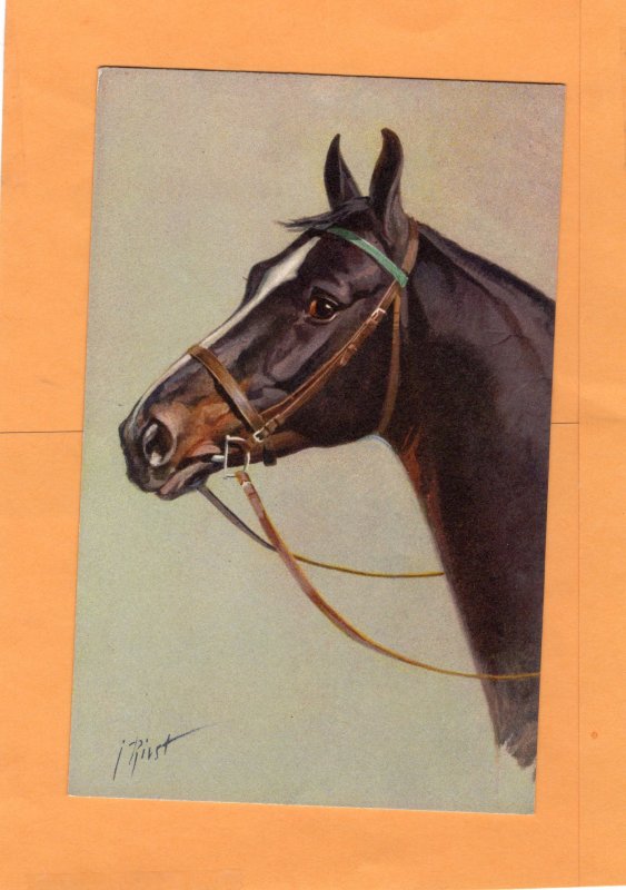 Brown Thoroughbred Horse Portrait, Head Study Postcard, Signed by Artist I Rivst