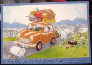 Postcard Humour Sheep - posted 1999