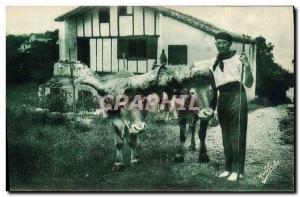 Old Postcard Folklore Guethary Basque Country copings oxen