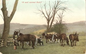 A well deserved rest. Horses  Tuck Oilette Farm Life Ser. PC # 8082