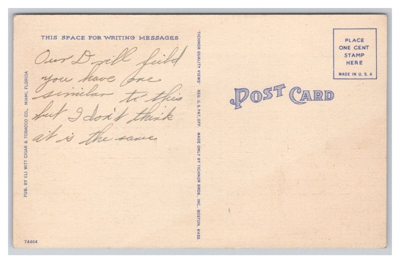 Postcard Miami Beach Florida Drill Groups - A. A. F. T , T. C.