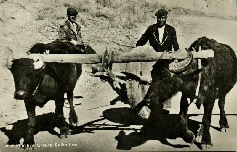 iraq, BAGHDAD BAGDAD, Primitive Ground Roller (1950s) Postcard