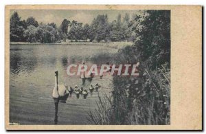 Postcard Old Berlin Hermsdorf am Waldsee