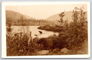 1930s Houlton Maine Lake And  Mountains View Antique RPPC Photo Posted Postcard