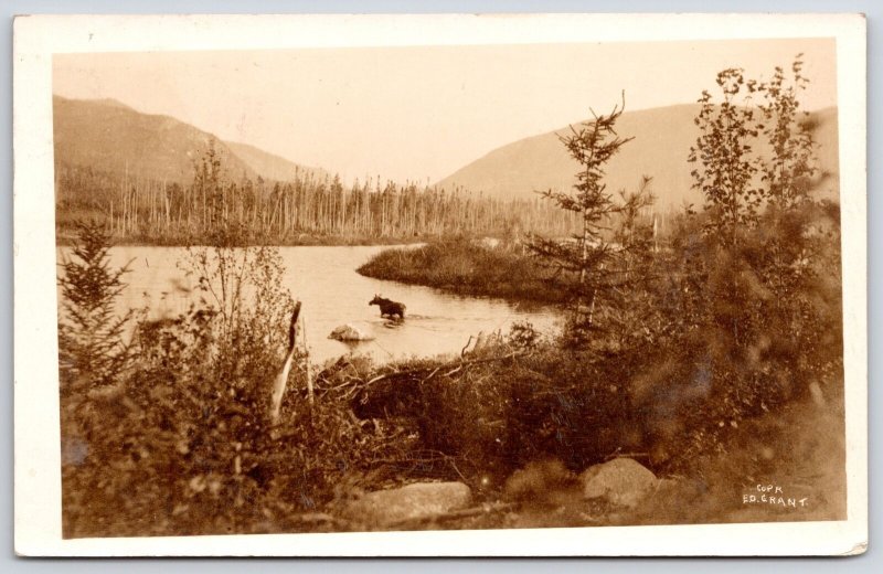 1930s Houlton Maine Lake And  Mountains View Antique RPPC Photo Posted Postcard
