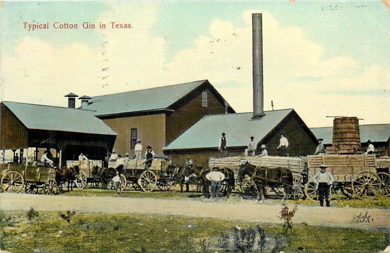 Texas 1909 Typical Cotton Gin occupation workers Bertrand Postcard 24-9395
