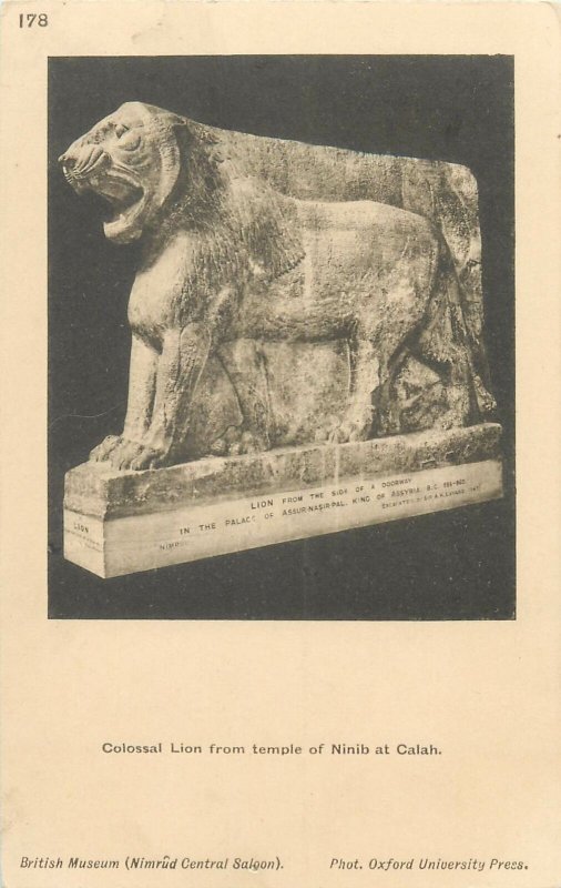 Postcard British Museum statue of colossal lion from temple of Ninib at Calah