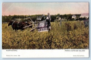 Prince Edward Island Canada Postcard Harvesting Farming Horse Scene c1910's