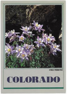 US Colorado Unused. Columbine.   Beautiful.