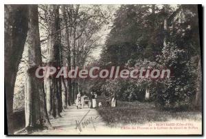 Postcard Old Montbard Allee Des Platanes And Cabinet