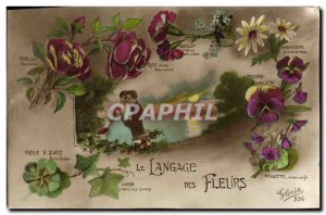 Old Postcard Fantasy Flowers of Language