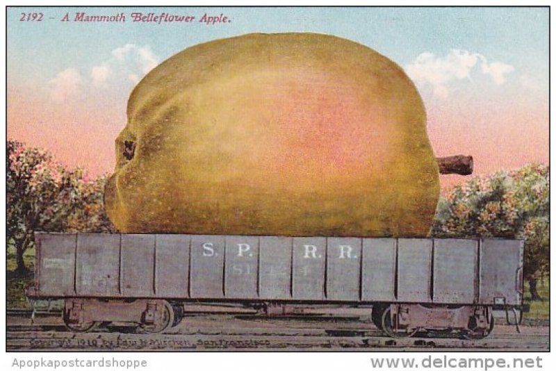 Exageration Mammoth Belleflower Apple On Railway Car