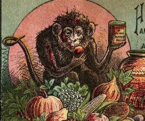 1870's Henry Mayo & Co Canned Goods Happy Monkey Eating Fruit P168