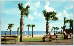 Postcard - Myrtle Beach, South Carolina