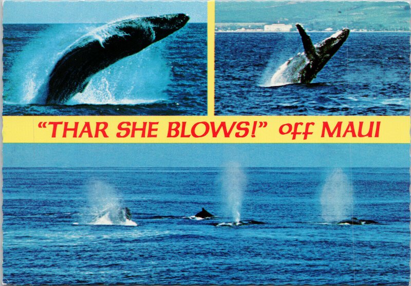 Humpback Whales Breaching Maui HI Hawaii 'Thar She Blows' Unused Postcard C1