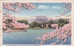 Lincoln Memorial And Cherry Blossoms Washington D C