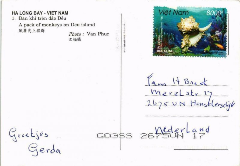 CPM AK A pack of monkeys on Deu island VIETNAM (716610)