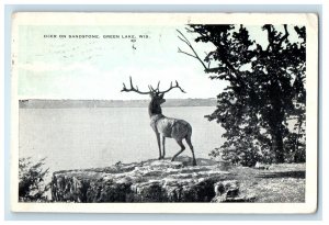 1931 Deer On Sandstone Green Lake Wisconsin WI, Chicago IL Vintage Postcard