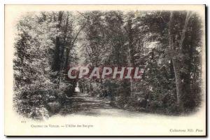 Old Postcard Chateau de Vizille Allee of Sighs